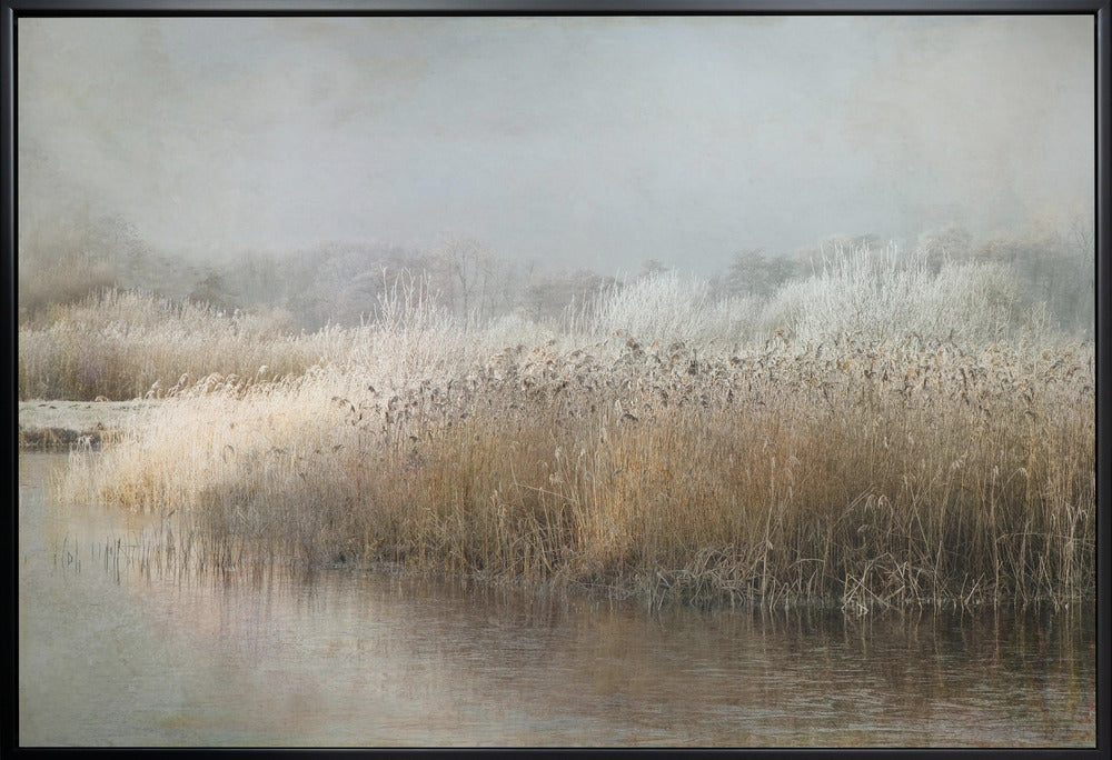 Winter Morning Canvas Print by Nel Talen