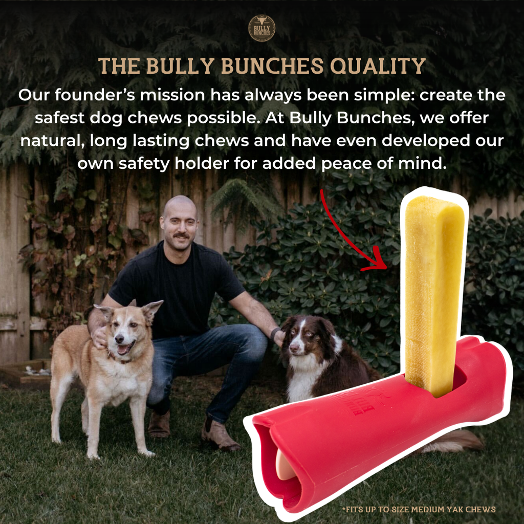 Himalayan Yak Chew (LARGE)
